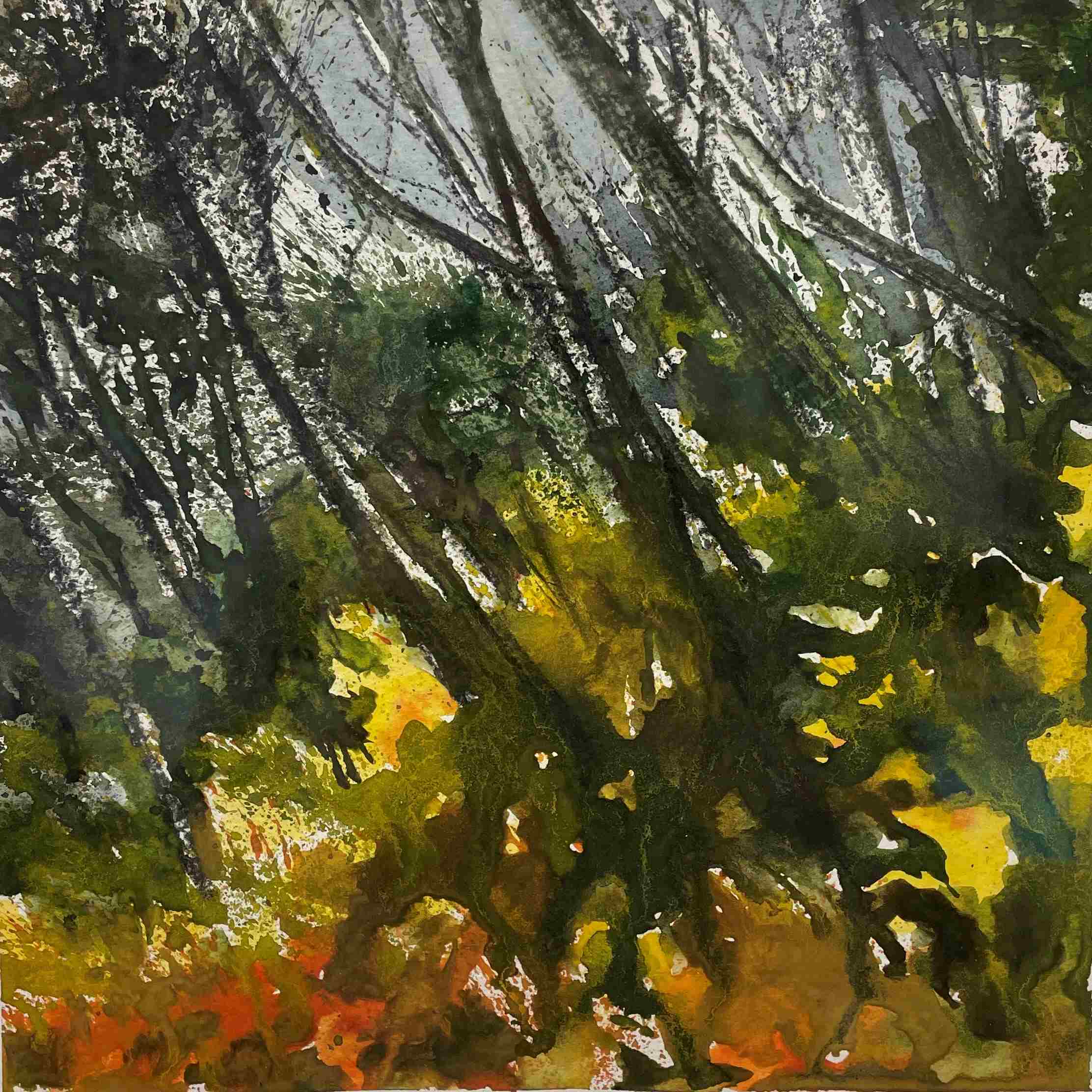 Watercolors