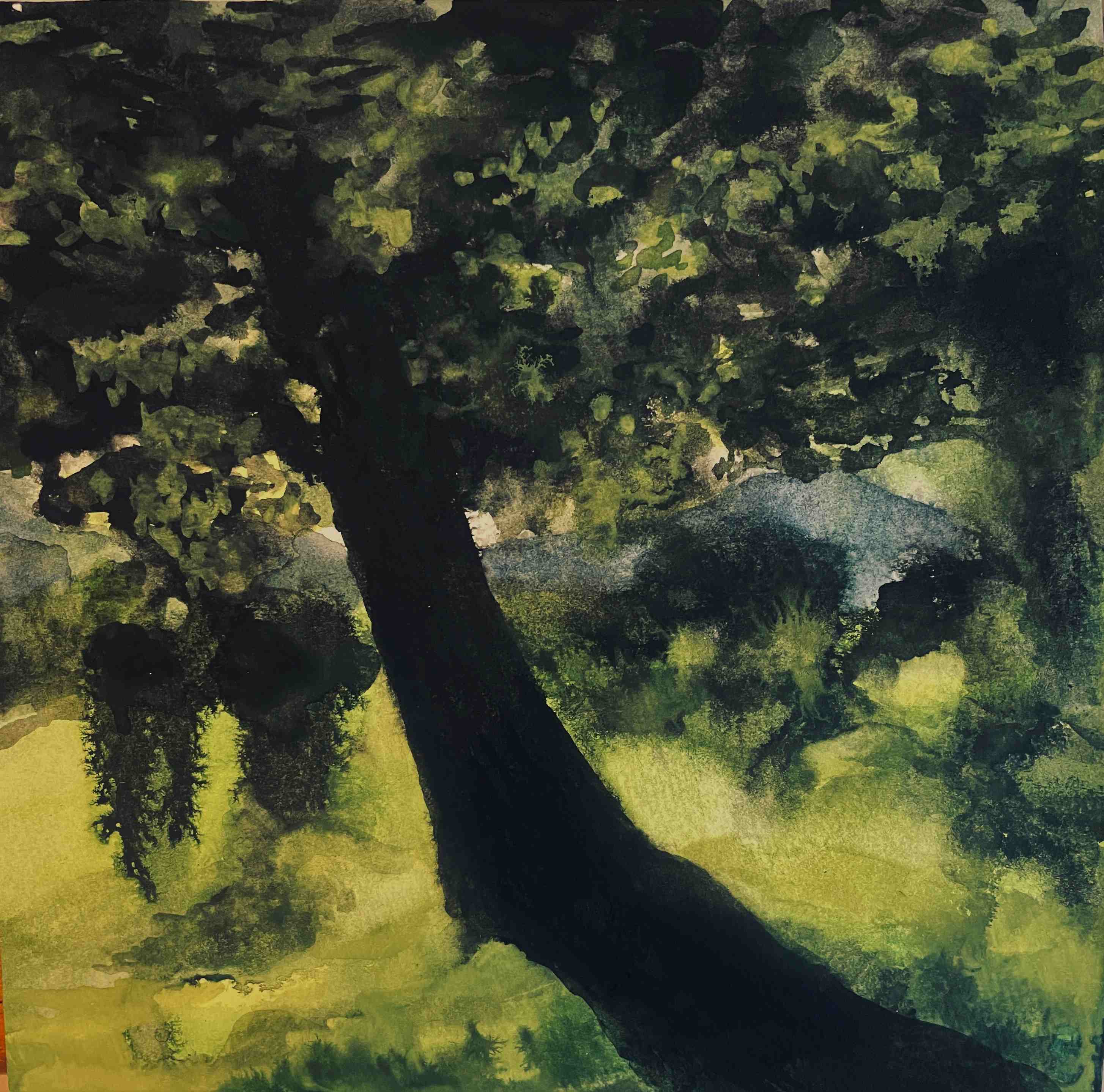 Watercolors